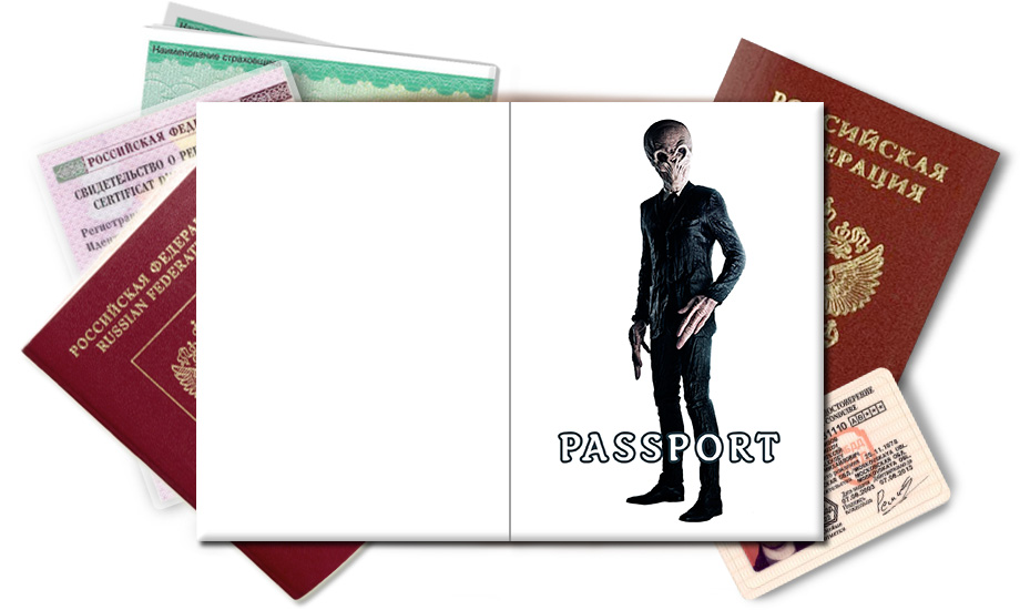 Обложка на паспорт Тишина