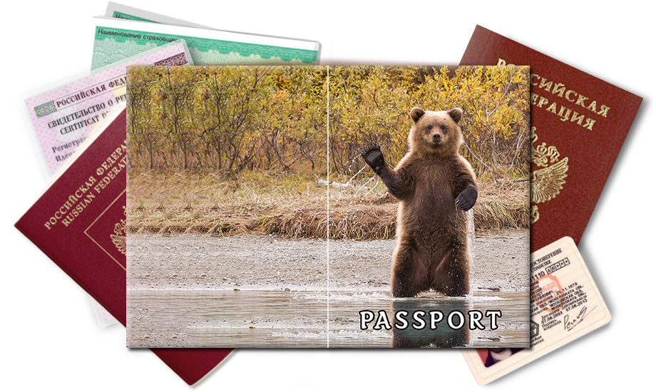 Обложка на паспорт Медведь