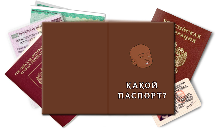 Обложка на паспорт Какой паспорт