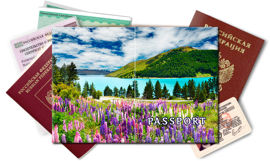 Обложка на паспорт Луг и озеро