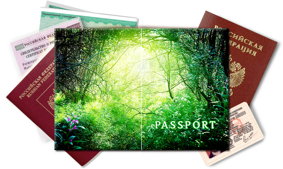 Обложка на паспорт Лесная чаща