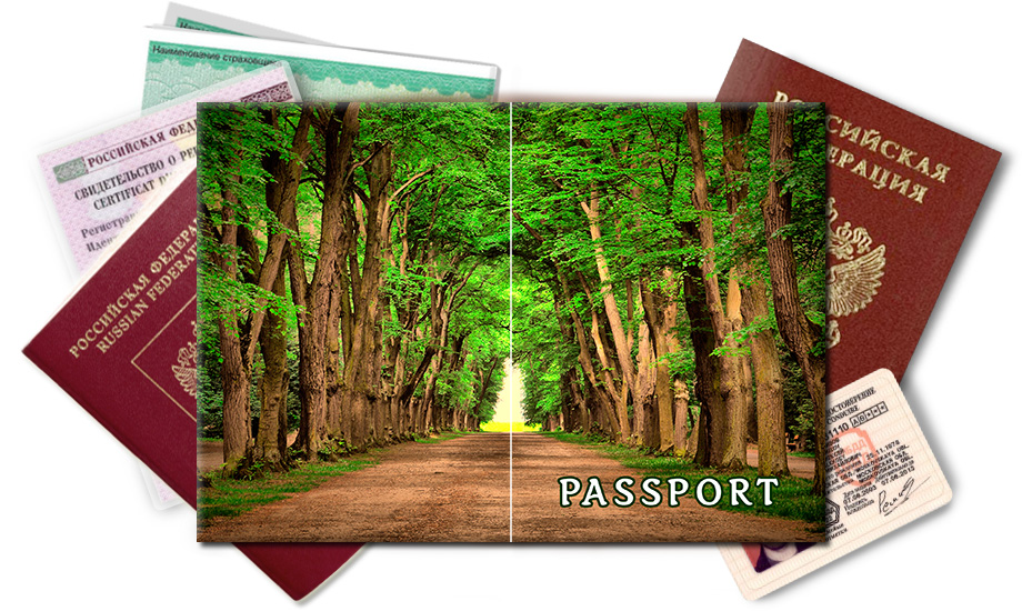 Обложка на паспорт Лесная тропа