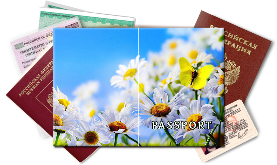 Обложка на паспорт с бабочкой