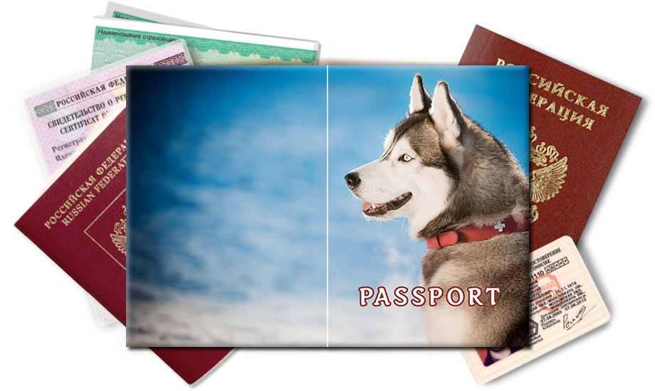 Обложка на паспорт Хаски