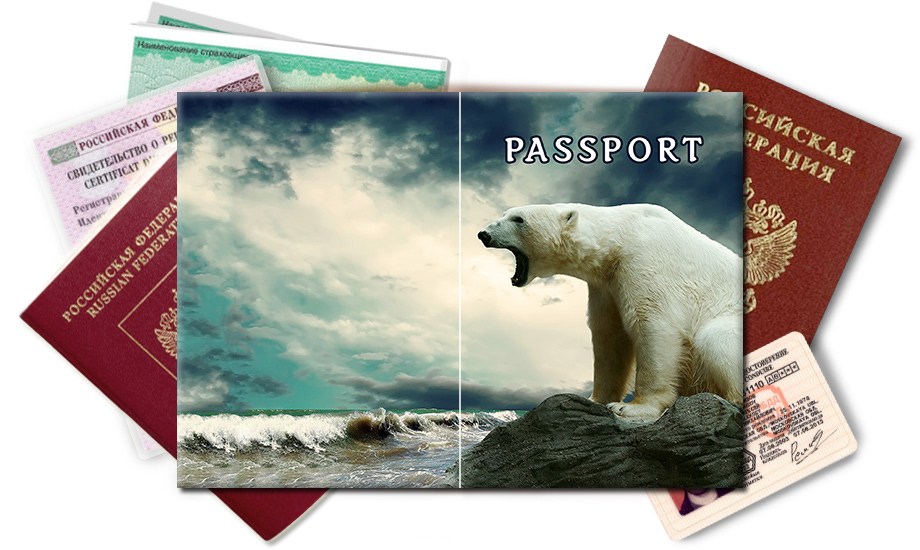 Обложка на паспорт Белый медведь