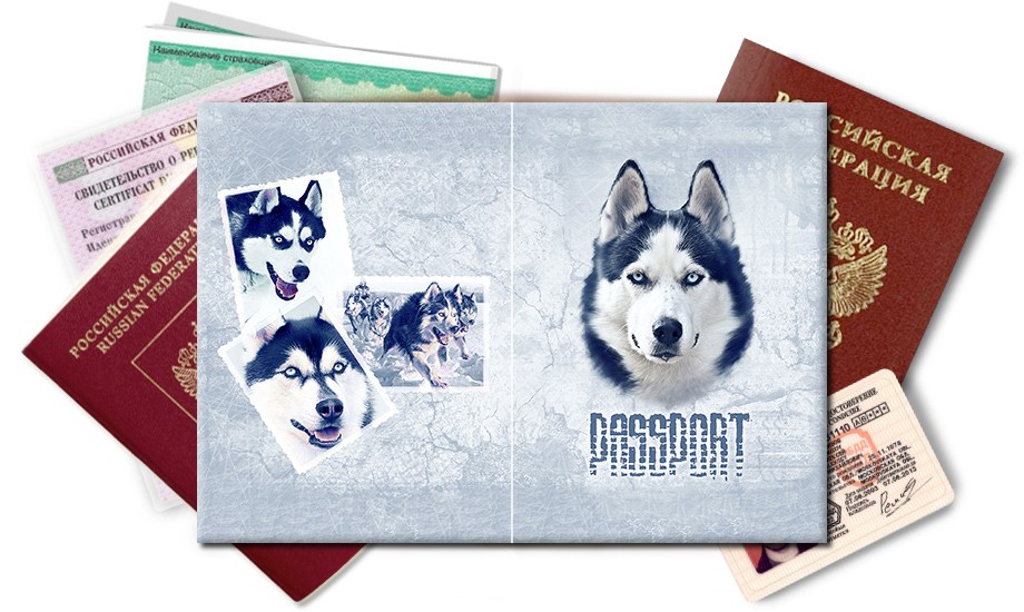 Обложка на паспорт Собака Хаски
