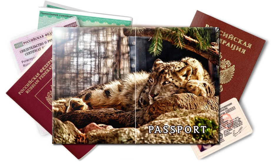 Обложка на паспорт Леопард