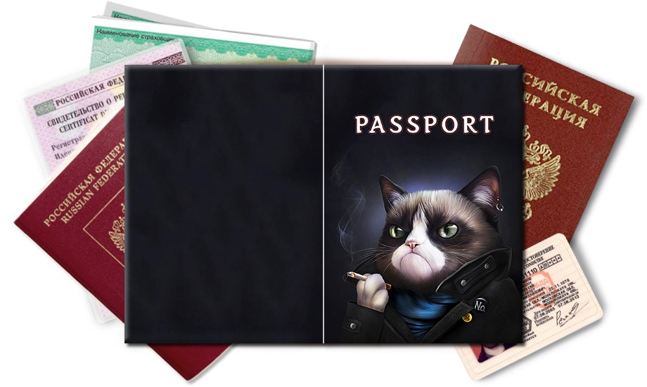 Обложка на паспорт Грустный кот