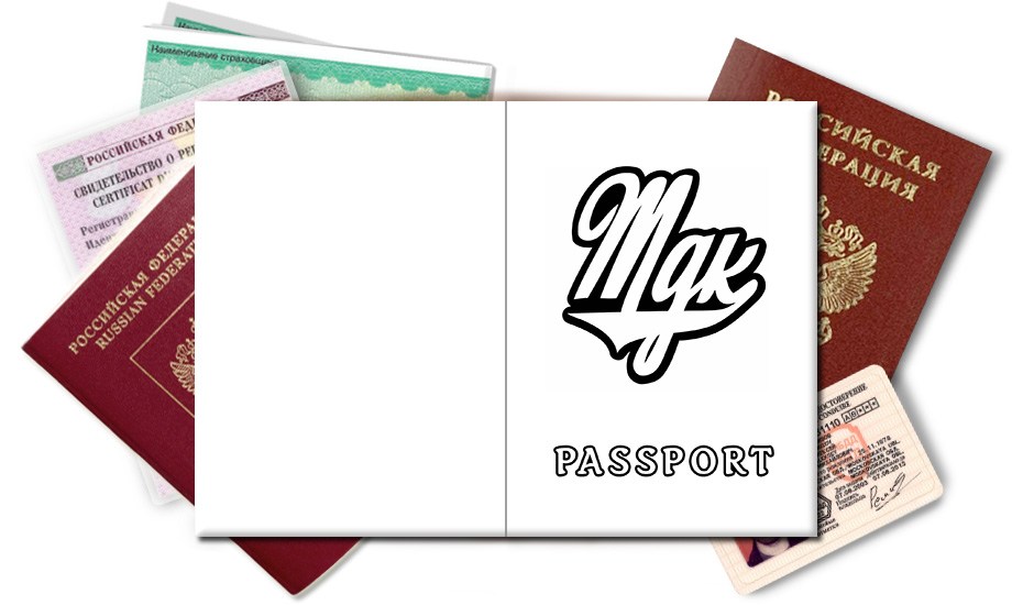 Обложка на паспорт MDK