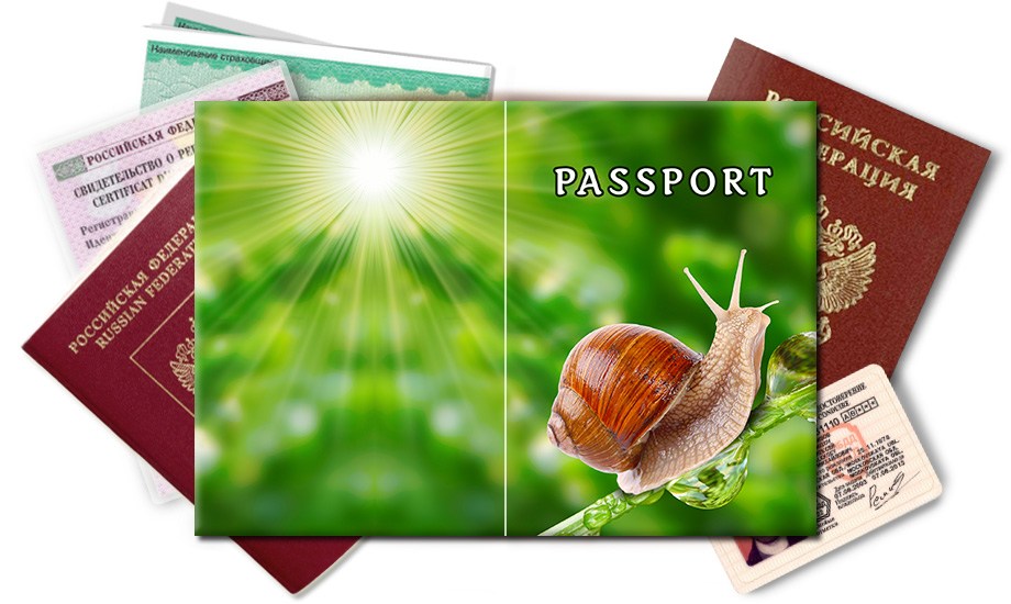 Обложка на паспорт Улитка