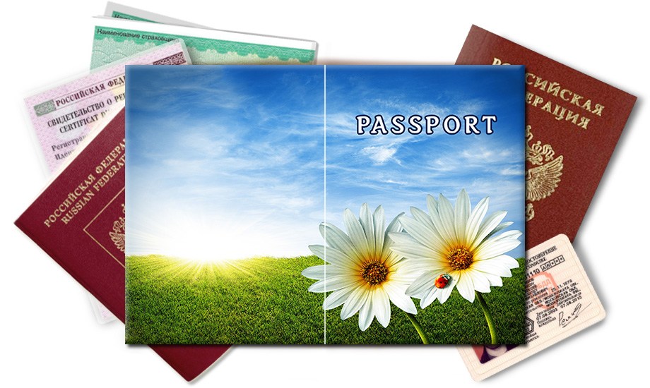 Обложка на паспорт Божья коровка на цветке