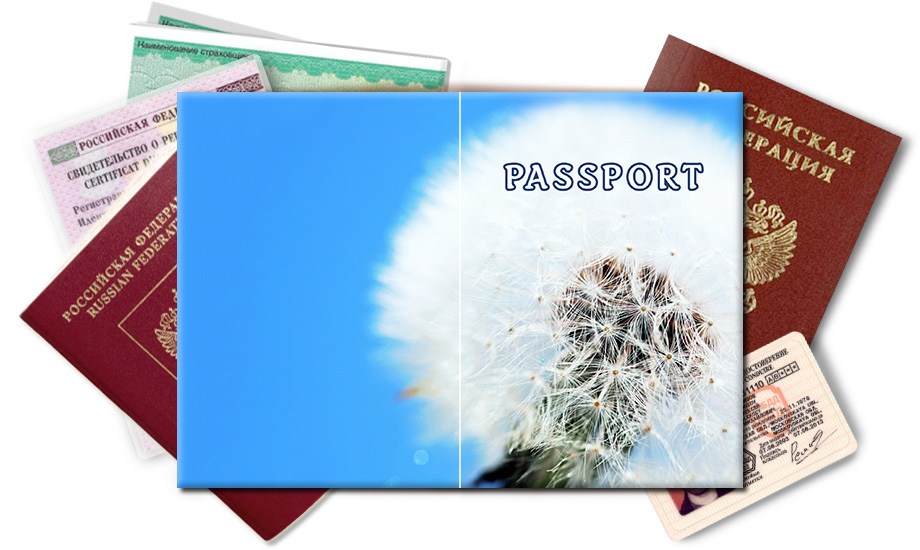 Обложка на паспорт Одуванчик